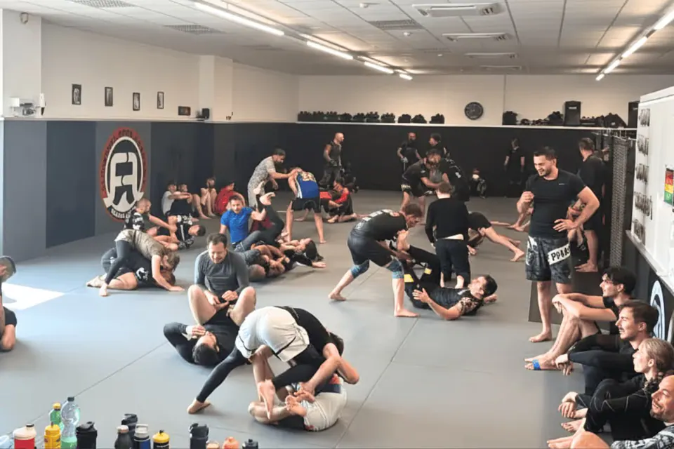Warum Wrestling und Judo sterben - und BJJ boomt!