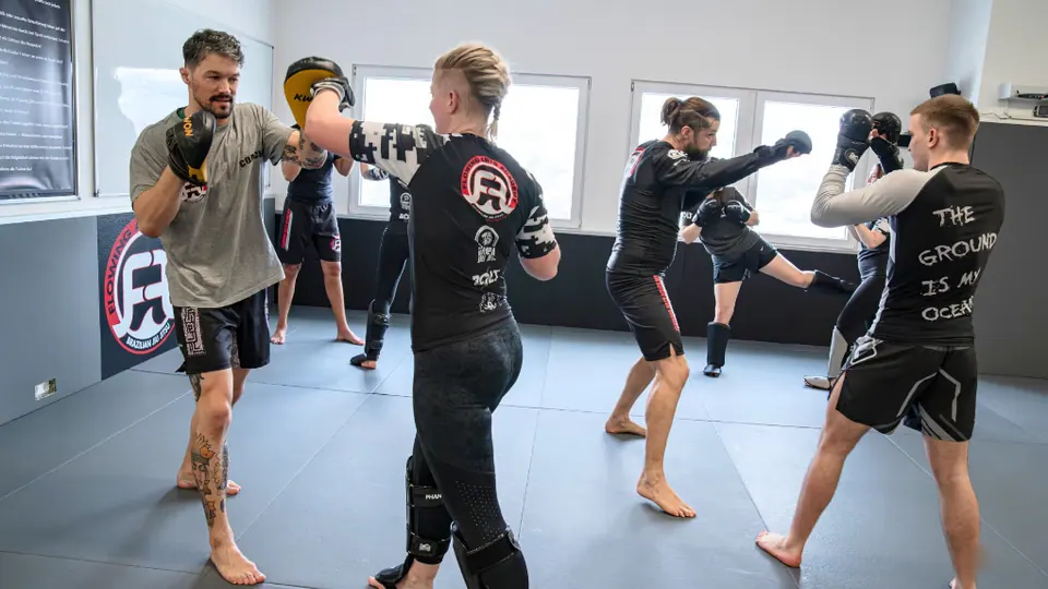 Diplomarbeit von MMag. Martin Guggi: Kampfsport im Wandel – Von traditionellen Stilen bis zur UFC